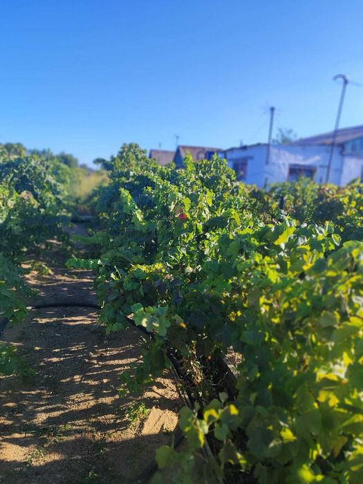 Продам дачу на 1- й водоколонке
