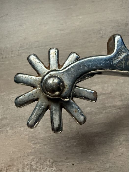 Pinten calarie , 1 buc