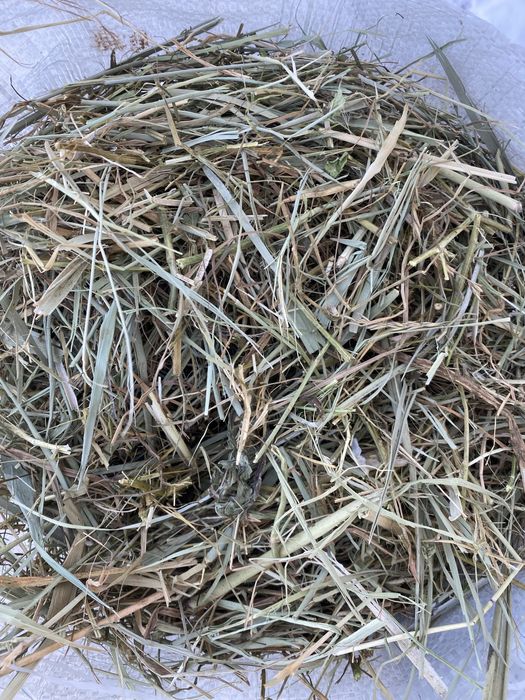 Сено дробленое в мешках