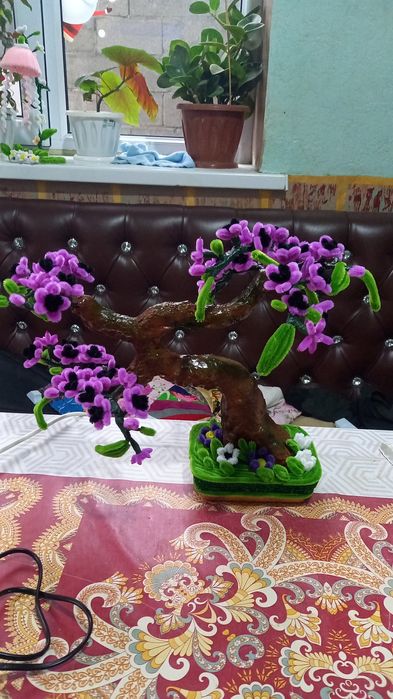 Капилка сувинер цветы гарания