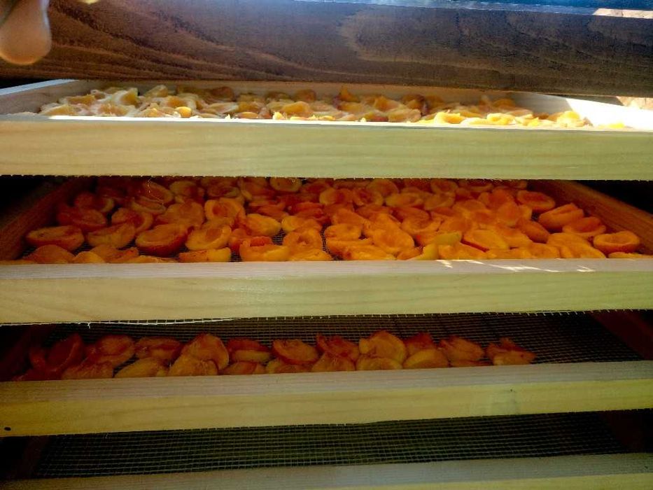 Fructe Uscate – 100% NATURALE