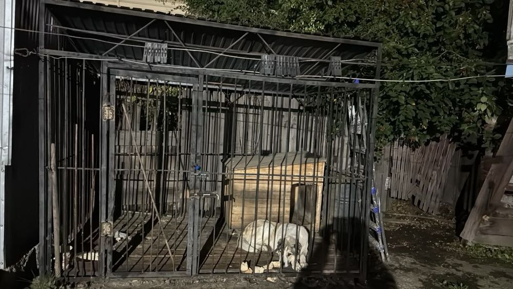 Продам срочно вольер для собаки