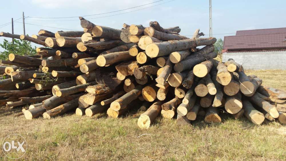 Vand lemne de foc,Nanov Teleorman