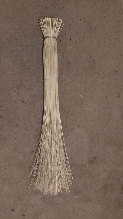 Метла чий (сорго)