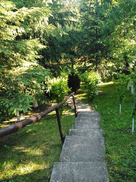 Proprietar vand casa tip duplex P+1 | Teren 800 mp | Panoramă deosebită | Telega, Prahova