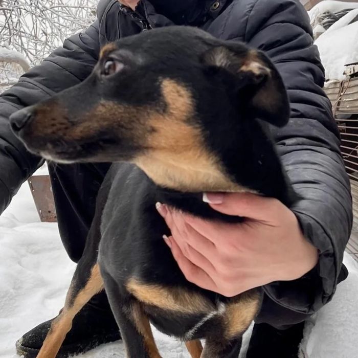 Возьми меня к себе