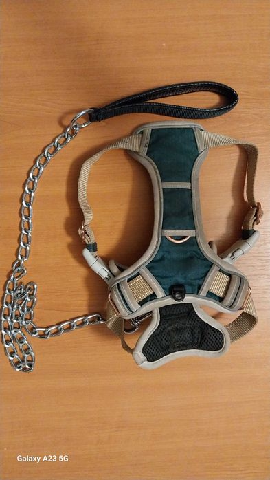 Ham DOG & DRESS marimea S si lesa lant 80 cm