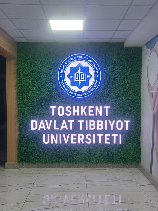 Bukva Harflar Laytboks Stella Banner Orakal Hammasi bor