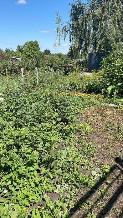 Продам дачу , СТ «Дружба»