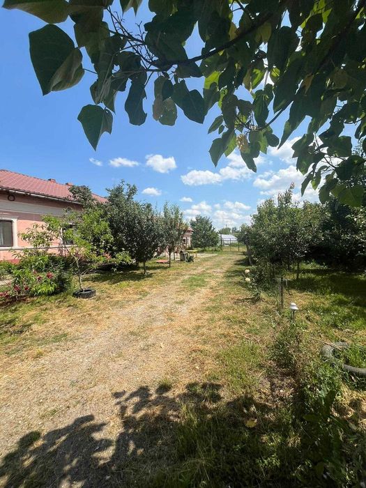 Casa de Locuit cu Teren si Curte Mare