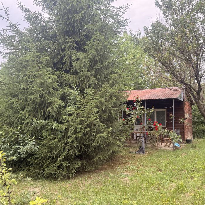 Teren intravilan zona Bercu Rosu