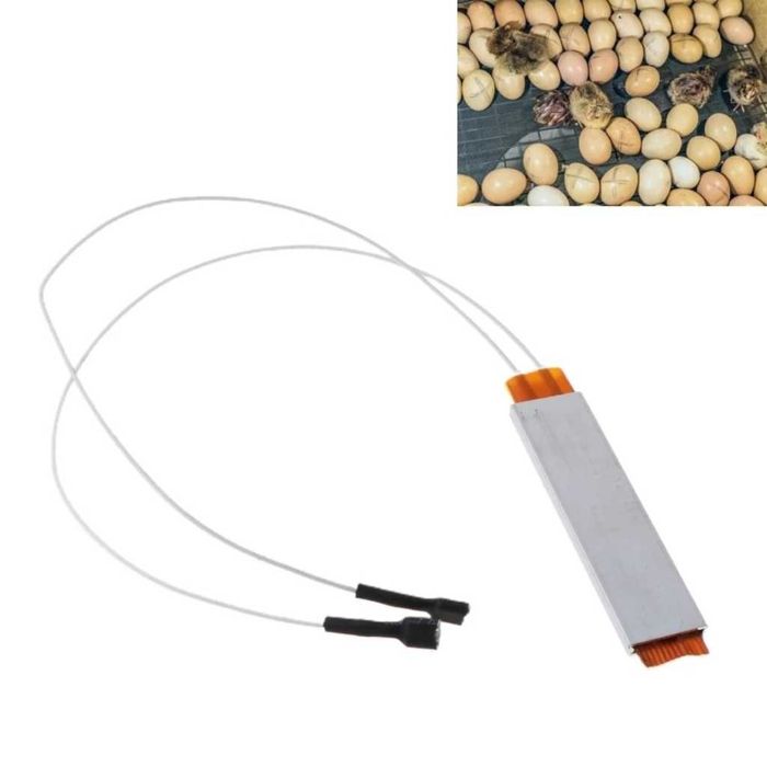 Нагревател за инкубатор на 220 волта