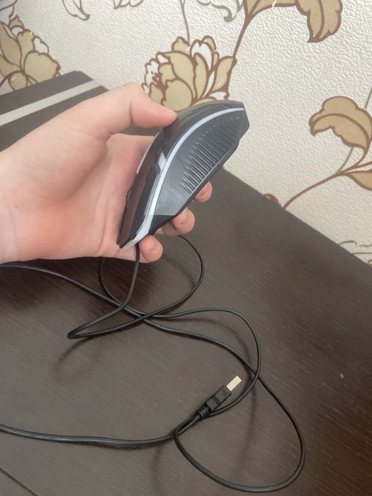 Нурпок на мишка