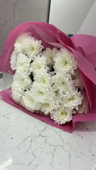 Хризантема свежий