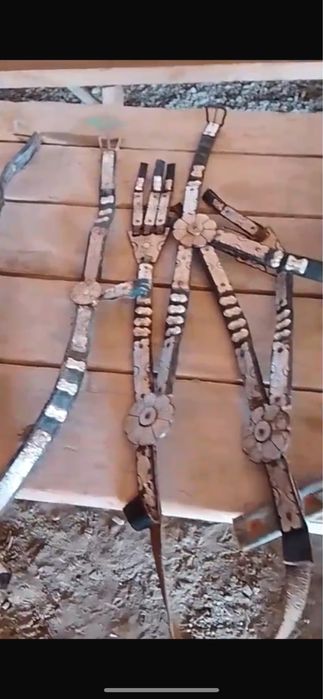 Ертоқым жүгендермен бірге сатылады