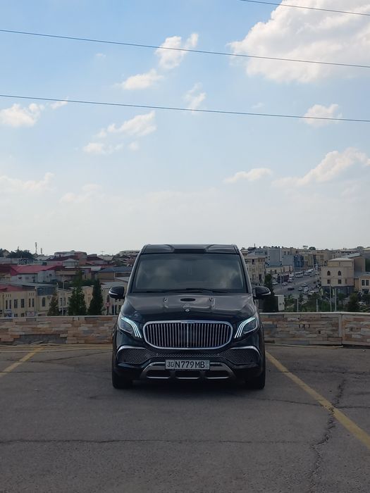 Mersades vito w447