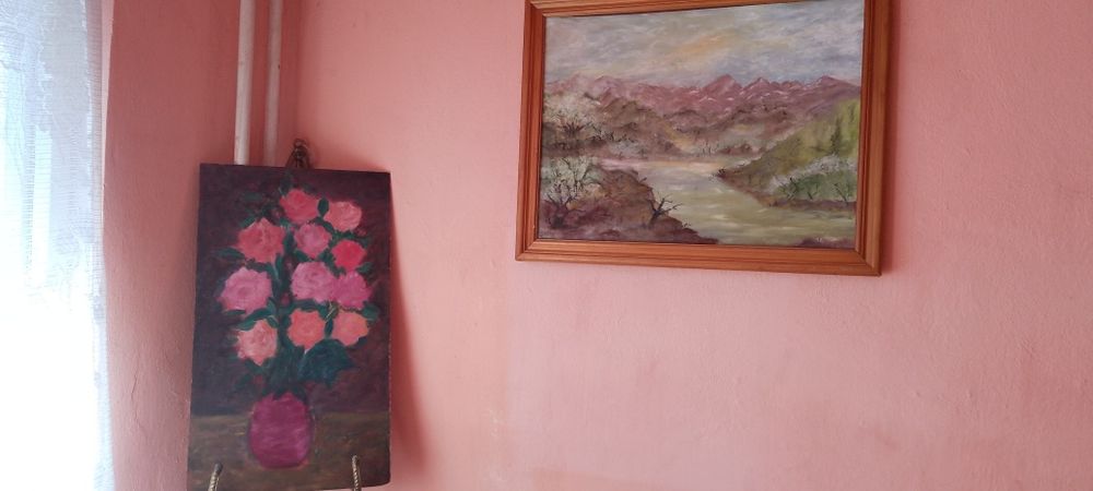 Picturi in ulei făcute de mine
