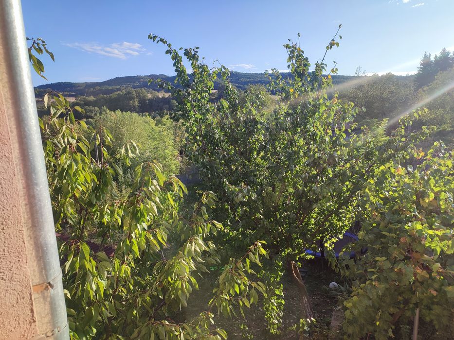 Дава се под наем Къща в с. Стражница, Област Кърджали - 140 кв.м за 316.2 € - Снимка #7