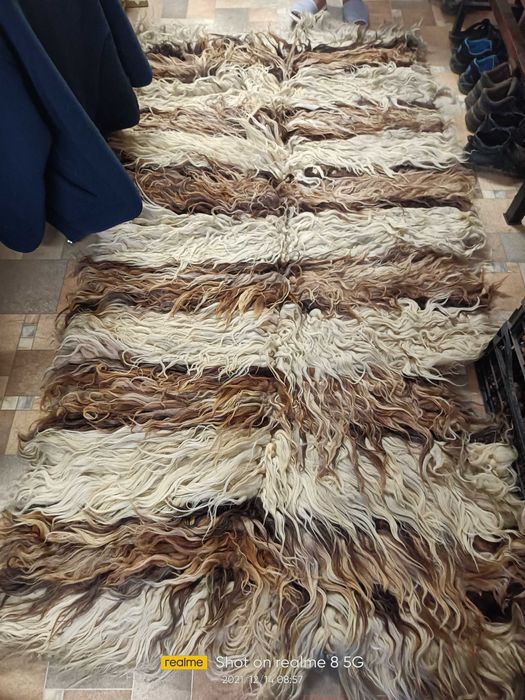 Козяк автентичен трицветен