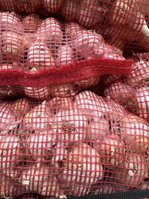 Vand usturoi de pus in pamant