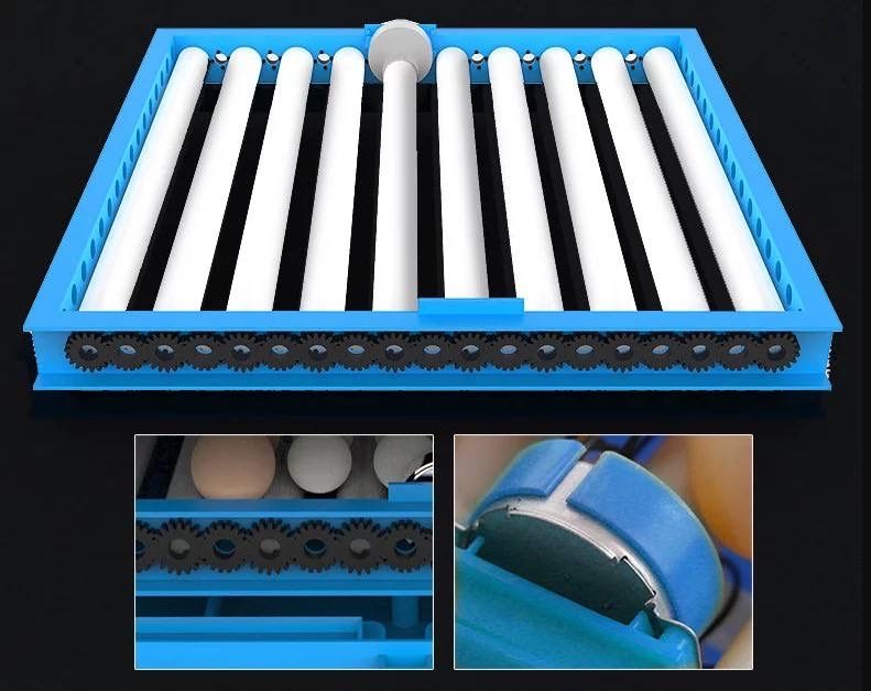 Инкубаторы с доставкой