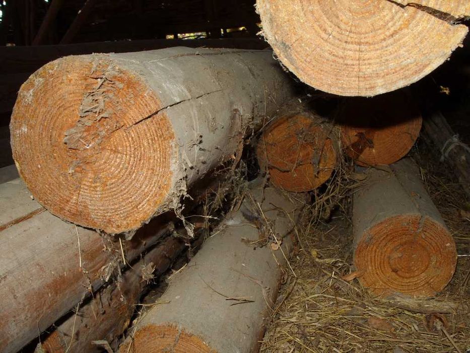 Предлага дървен материал- мертеци и греди