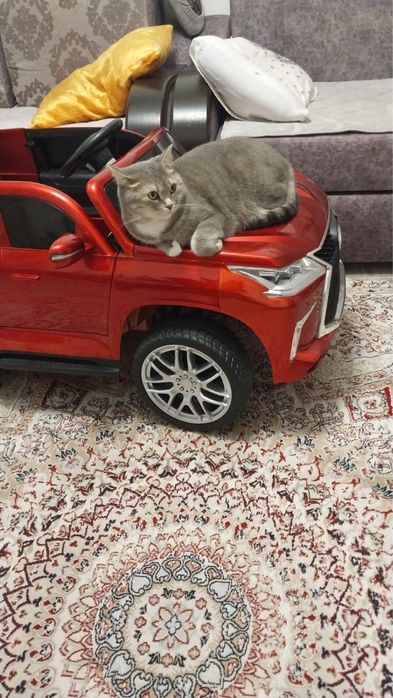 детский электромобиль Lexus LX 570