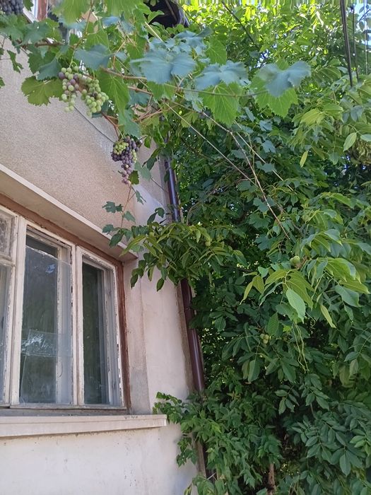 Продава се Къща в Плевен, Мара Денчева - 160 кв.м за 782 €/кв.м - Снимка #4