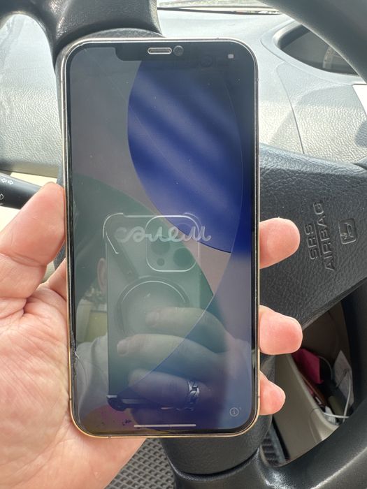 Iphone 12 pro max 256 gb