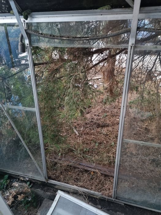 Теплица, каркас алюминий, стекло, б/у