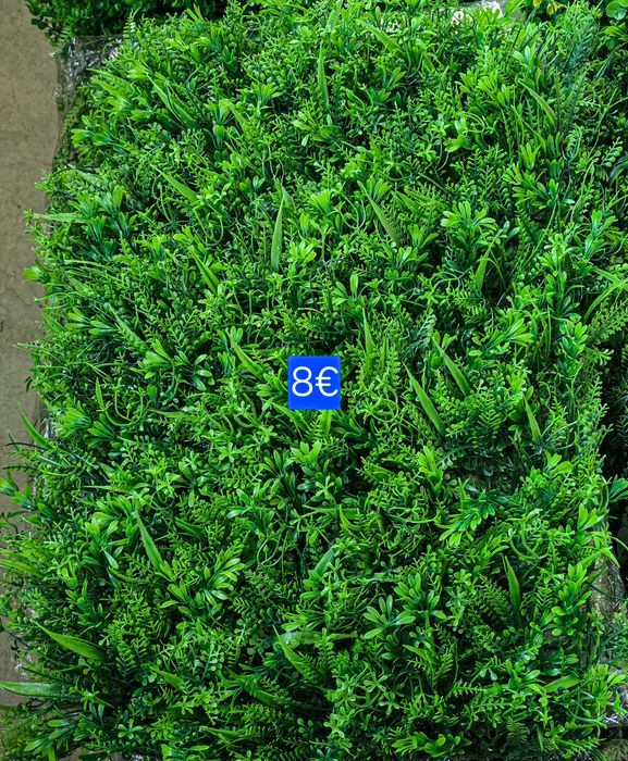 Зелени пана 60/40