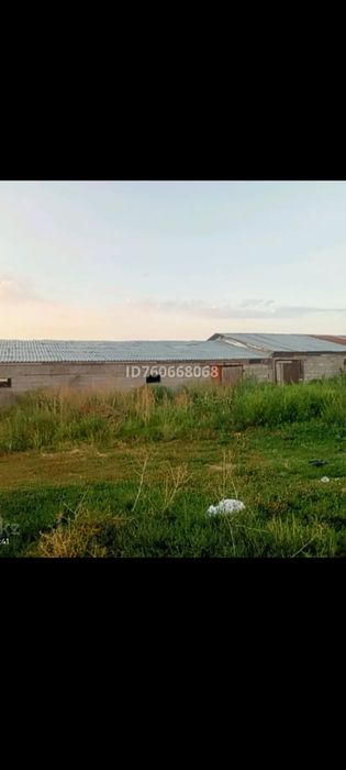 Фазенда продается