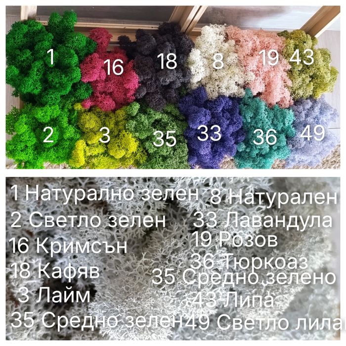 Скандинавски мъх за зелени стени, пана, декорации.