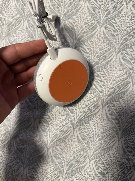 Google home ,fara cutie