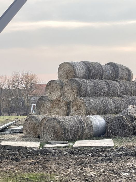 Vand baloti de fan / paie / tulei