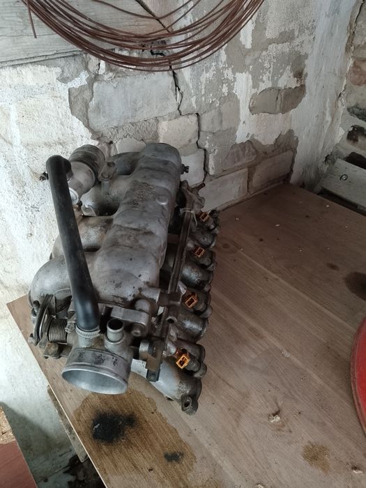 Газель инжектор мозга коса