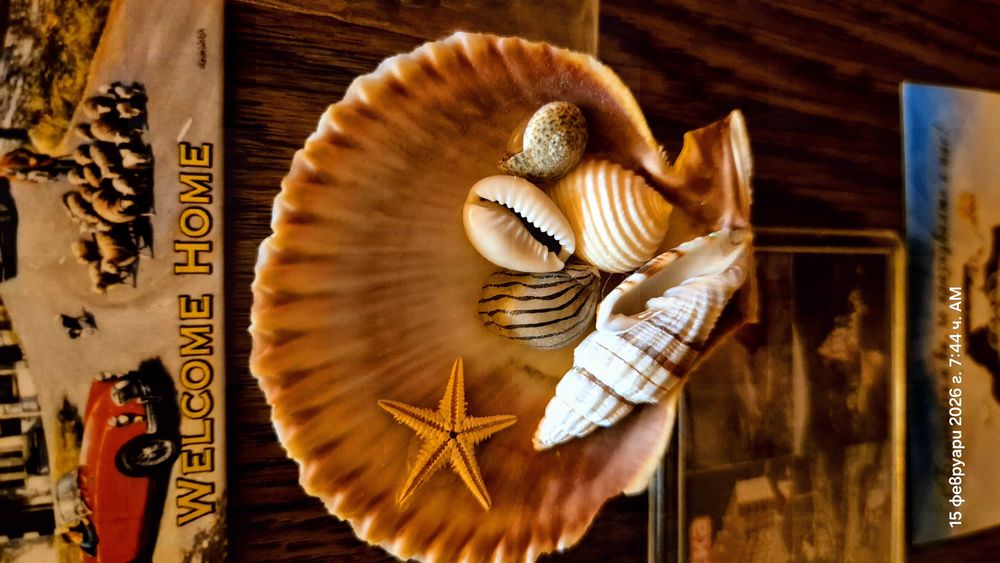 Нови магнити  за хладилник