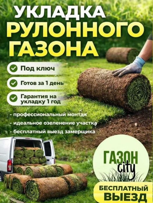 газон в Алмате озеленение живой газон рулонный под ключ от 2000тг