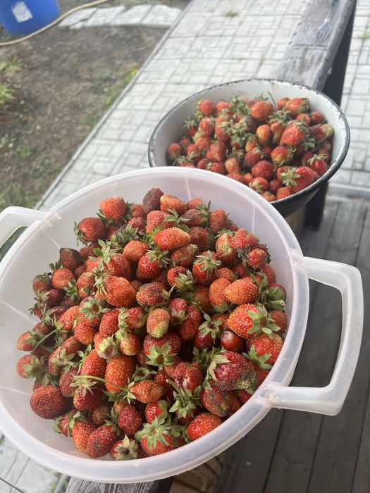 Продам дачу СО Колос!