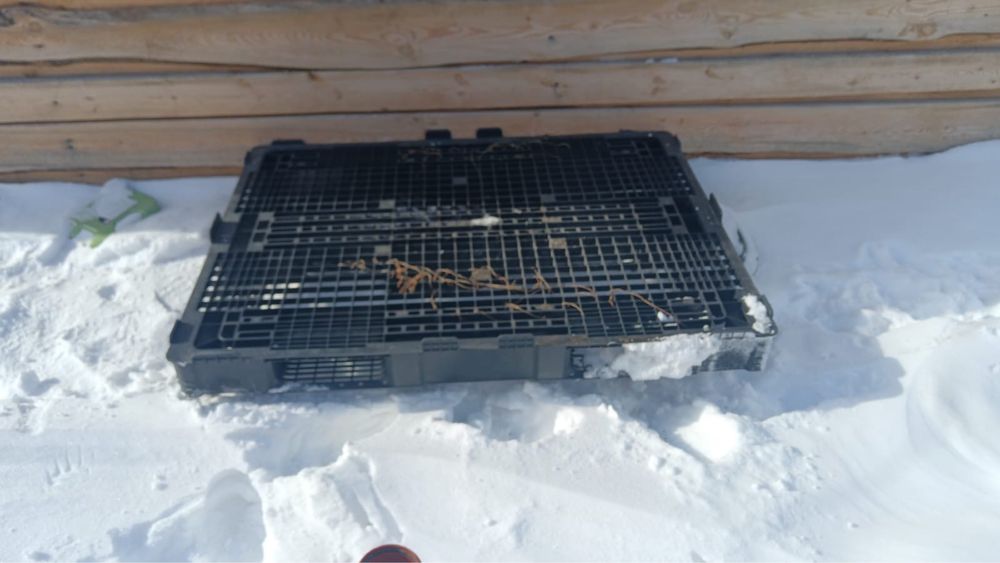 Поддоны пластиковые