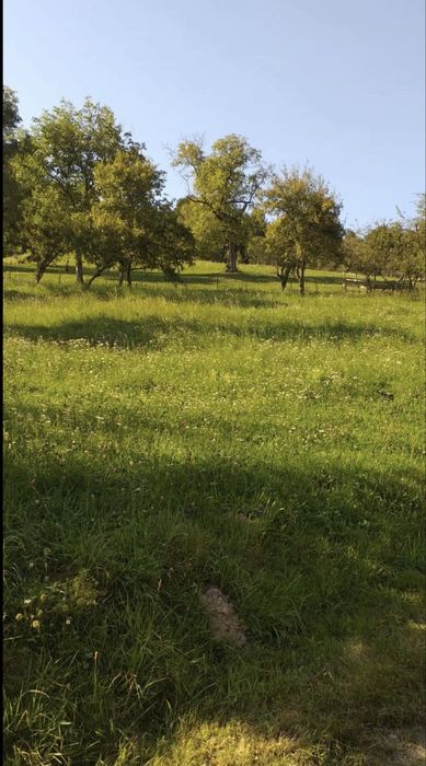 Teren Moieciu de Jos