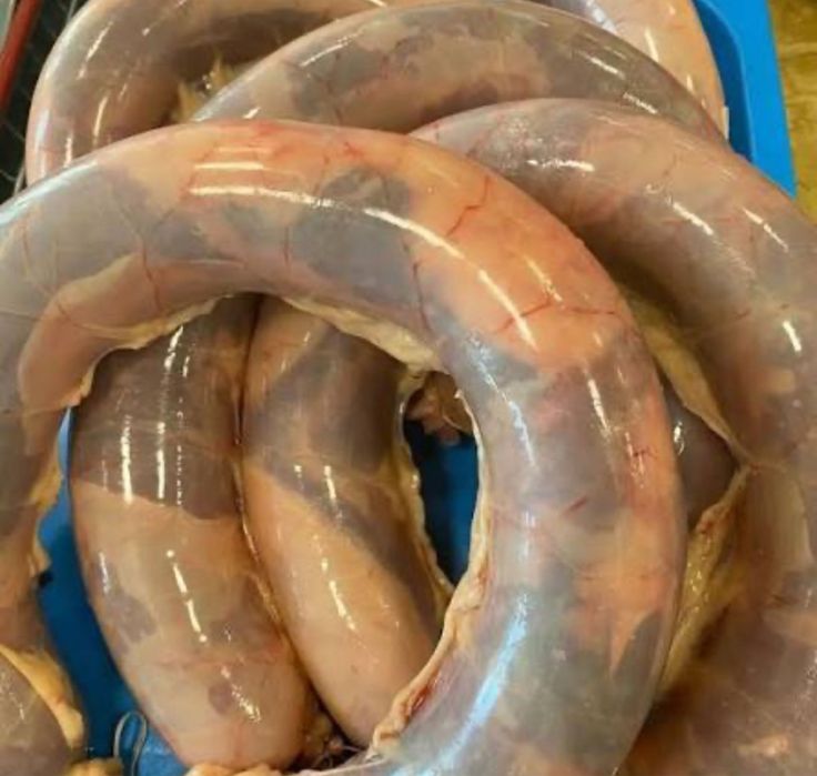 Ет согым мясо конина жілік
