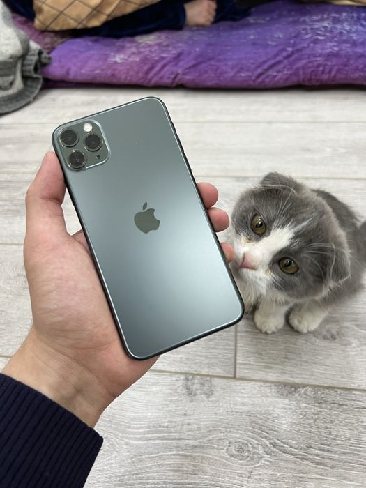 iPhone 11 Pro Max