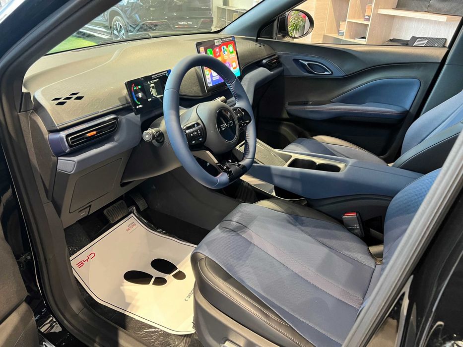 Byd seagull pod zakaz