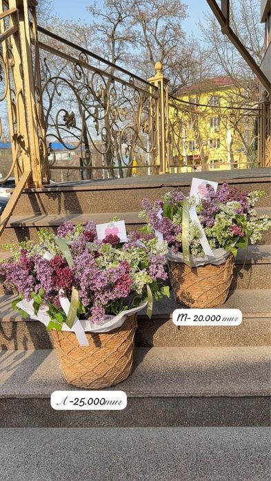 Сирень букет. Компазиция. Цветы