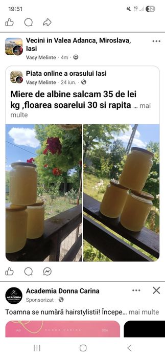 Miere de albine m