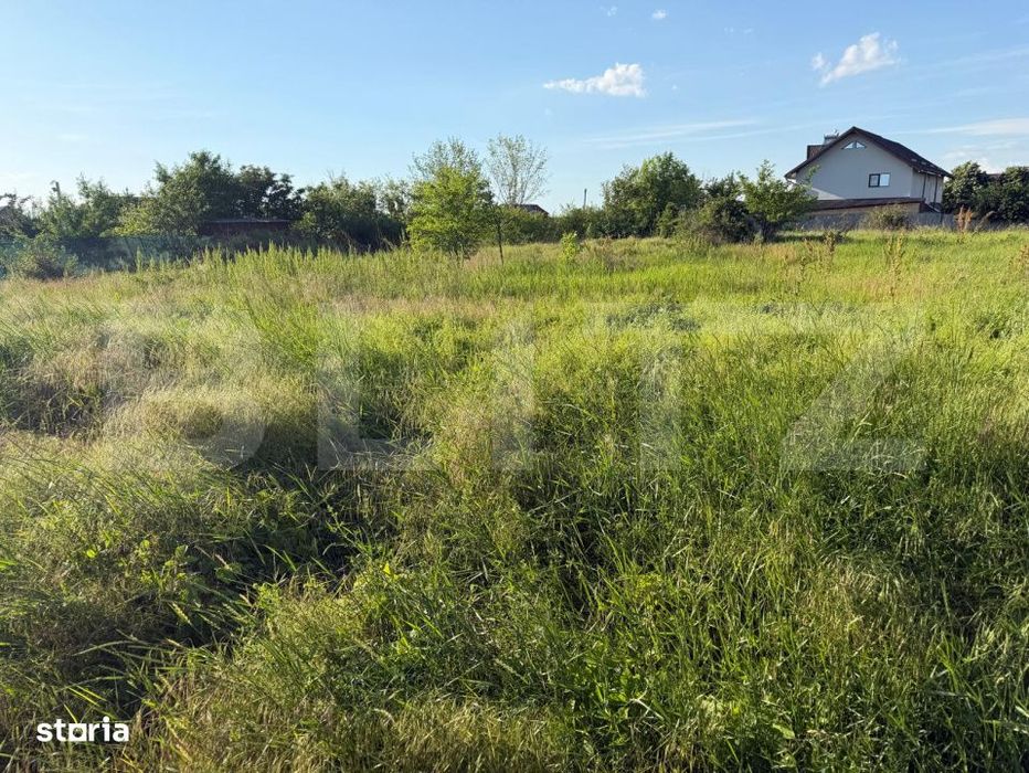 Teren intravilan, 1000 mp, front 16 ml, Dudovicesti, Simnicul de Sus