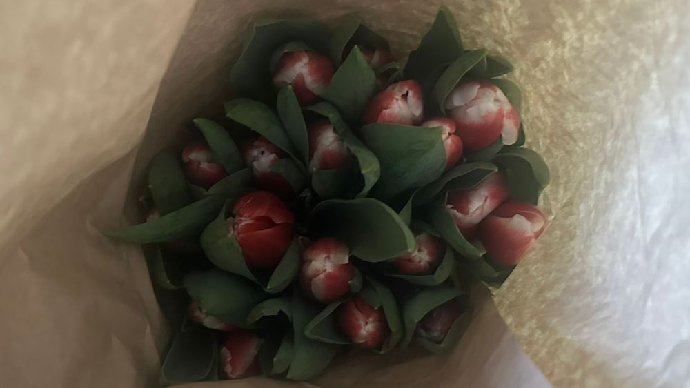 Тюльпаны на 8 марта