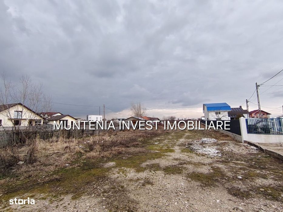 Oferta! pretabil investitie! Teren 7000 mp. Bradu, stradal