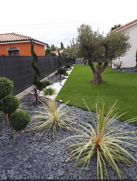 Plante ornamentale